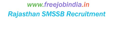 RSMSSB Recruitment 2023 Apply Online for Computer Post